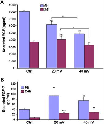 Engineering diabetic human skin equivalent for in vitro and in vivo applications